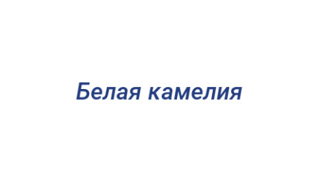 Логотип компании Белая камелия