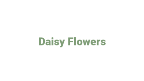 Логотип компании Daisy Flowers