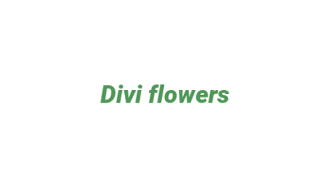 Логотип компании Divi flowers