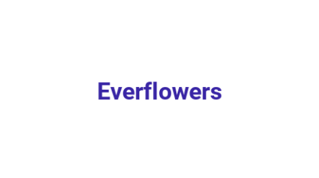 Логотип компании Everflowers
