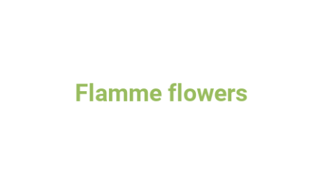 Логотип компании Flamme flowers