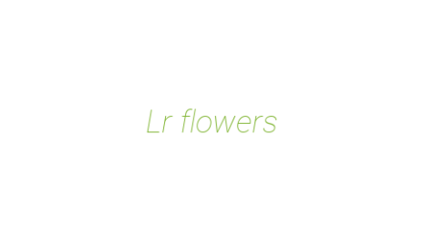 Логотип компании Lr flowers