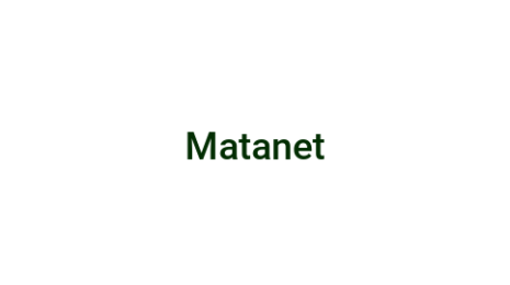 Логотип компании Matanet