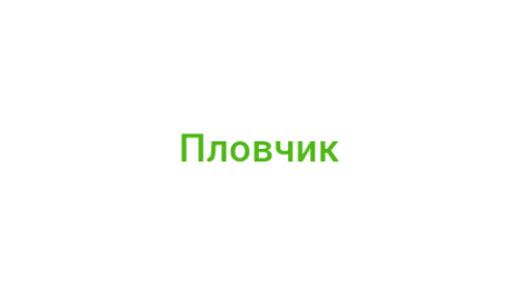 Логотип компании Пловчик