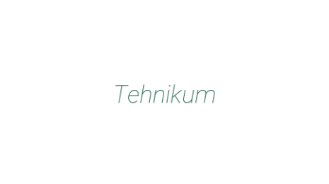 Логотип компании Tehnikum