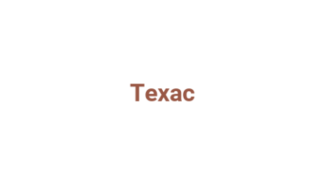 Логотип компании Техас