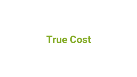 Логотип компании True Cost