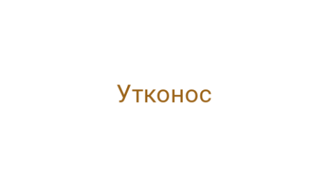 Логотип компании Утконос