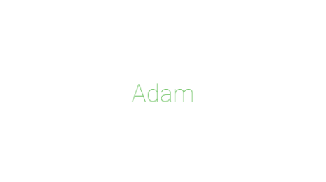 Логотип компании Adam