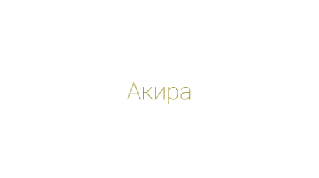 Логотип компании Акира
