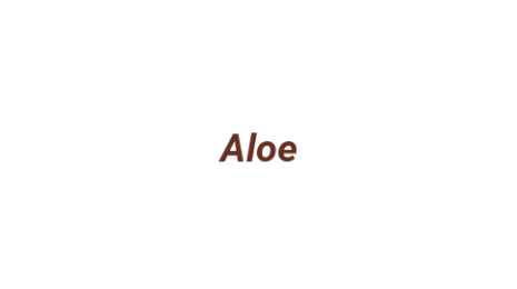 Логотип компании Aloe