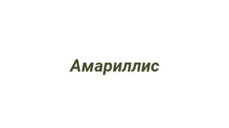 Логотип компании Амариллис