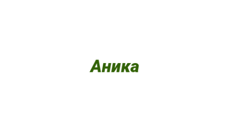 Логотип компании Аника