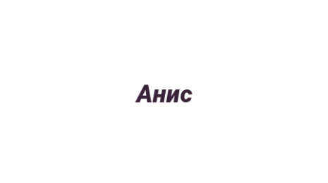 Логотип компании Анис