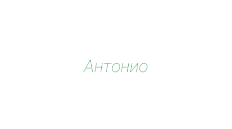 Логотип компании Антонио