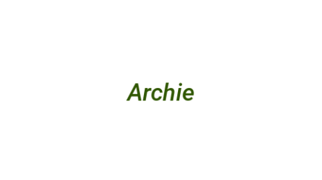 Логотип компании Archie
