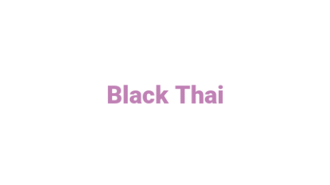 Логотип компании Black Thai