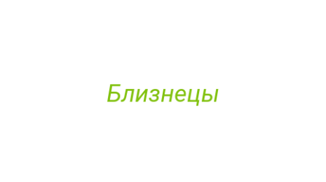 Логотип компании Близнецы