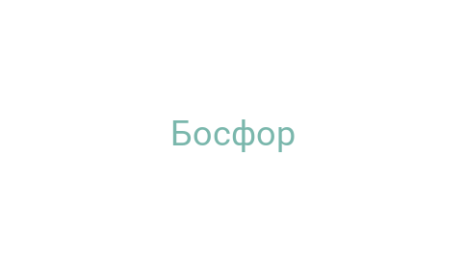 Логотип компании Босфор