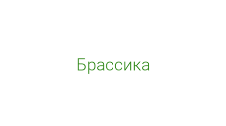 Логотип компании Брассика