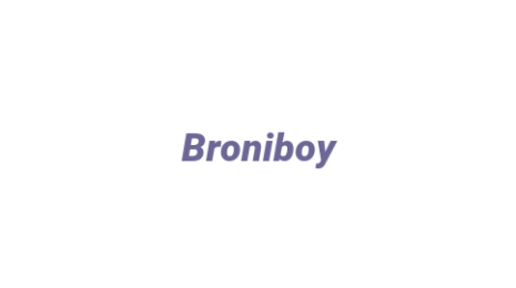 Логотип компании Broniboy