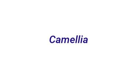 Логотип компании Camellia