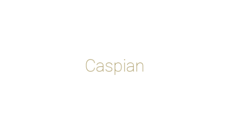Логотип компании Caspian