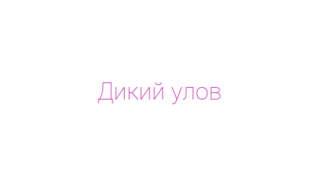 Логотип компании Дикий улов