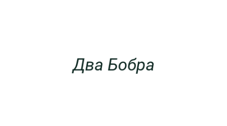Логотип компании Два Бобра