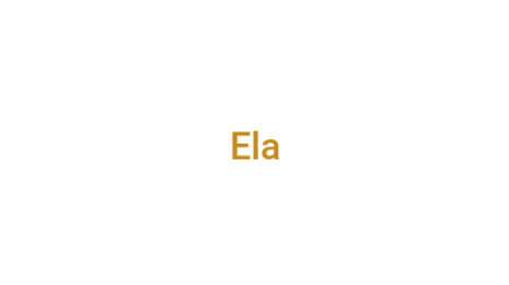 Логотип компании Ela