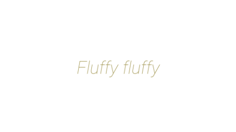 Логотип компании Fluffy fluffy