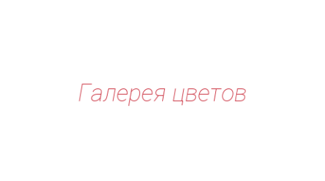 Логотип компании Галерея цветов