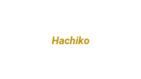 Логотип компании Hachiko