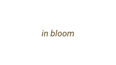 Логотип компании in bloom
