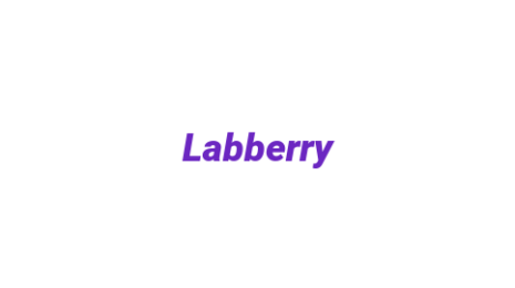 Логотип компании Labberry