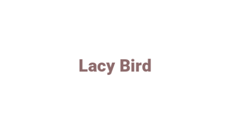 Логотип компании Lacy Bird