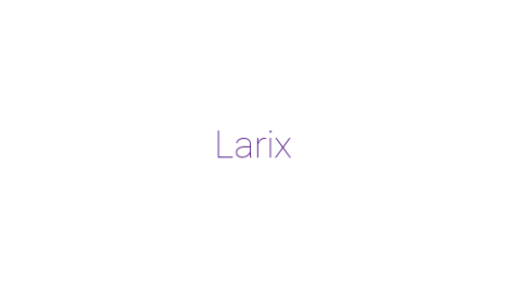 Логотип компании Larix