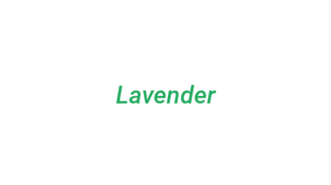 Логотип компании Lavender