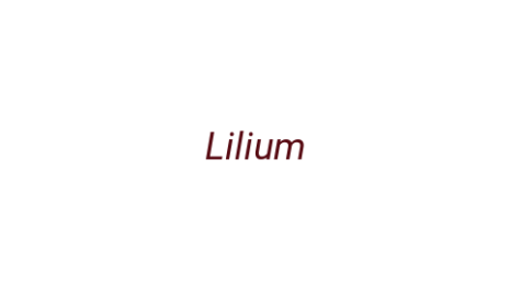 Логотип компании Lilium