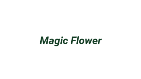 Логотип компании Magic Flower