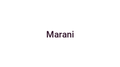Логотип компании Marani