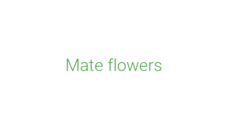 Логотип компании Mate flowers