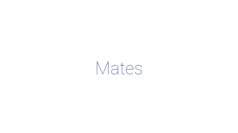 Логотип компании Mates
