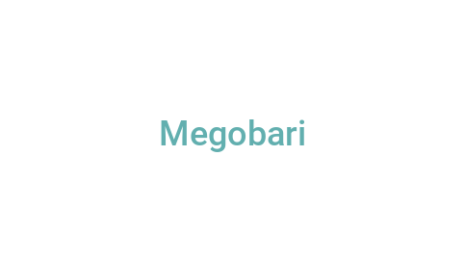 Логотип компании Megobari
