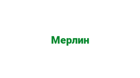 Логотип компании Мерлин