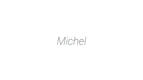 Логотип компании Michel