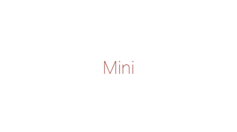 Логотип компании Mini