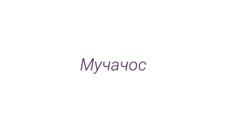 Логотип компании Мучачос