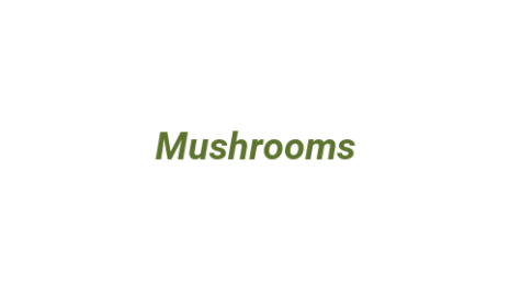Логотип компании Mushrooms