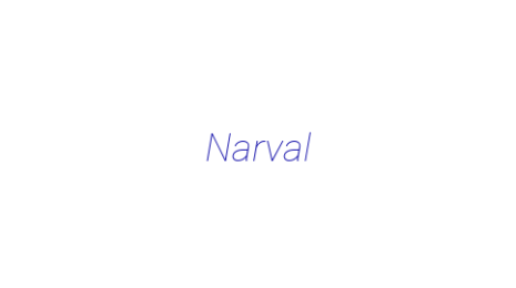 Логотип компании Narval